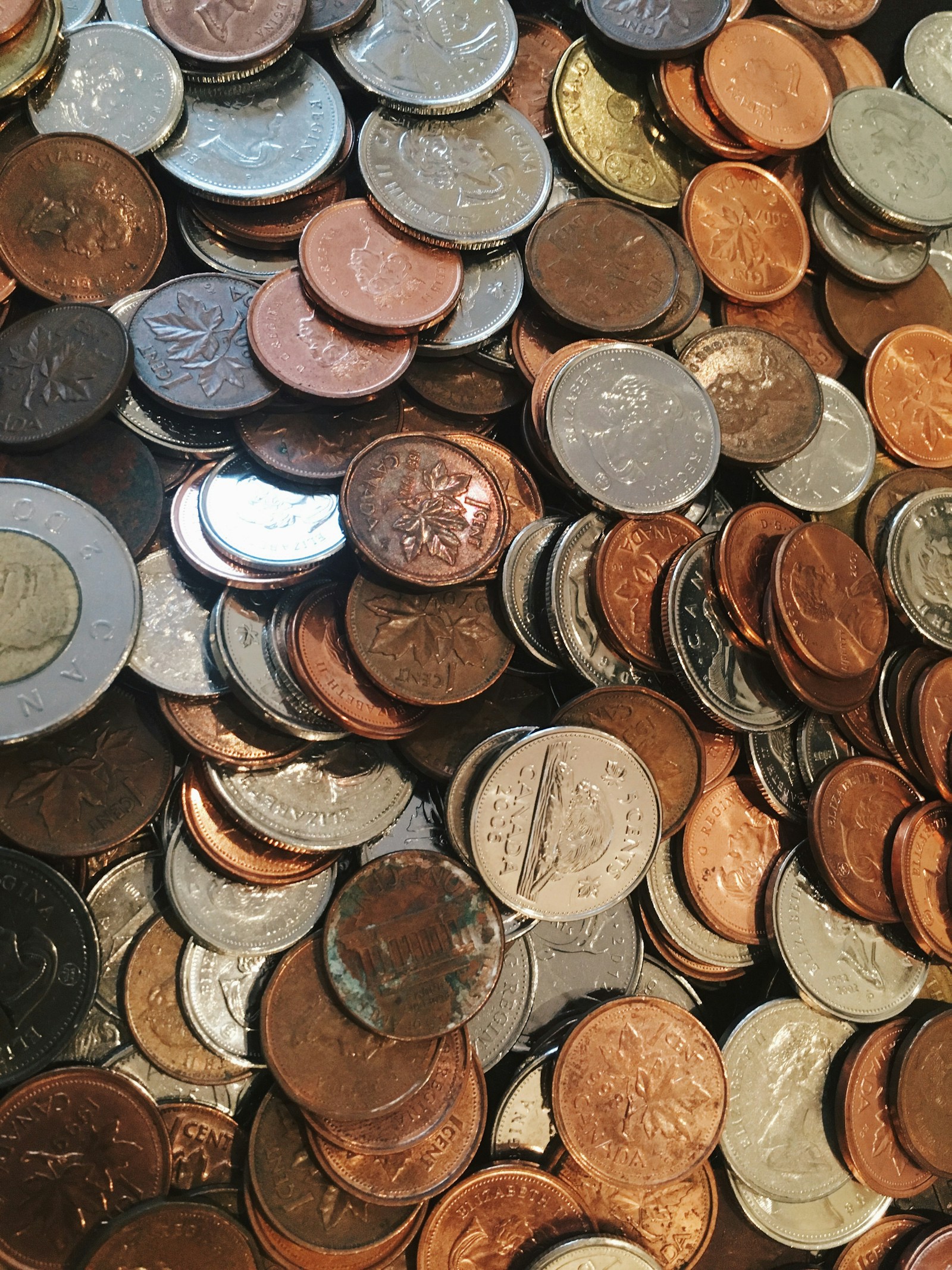 Best Beef Tallow Products Under $20: Budget-Friendly Picks for 2026