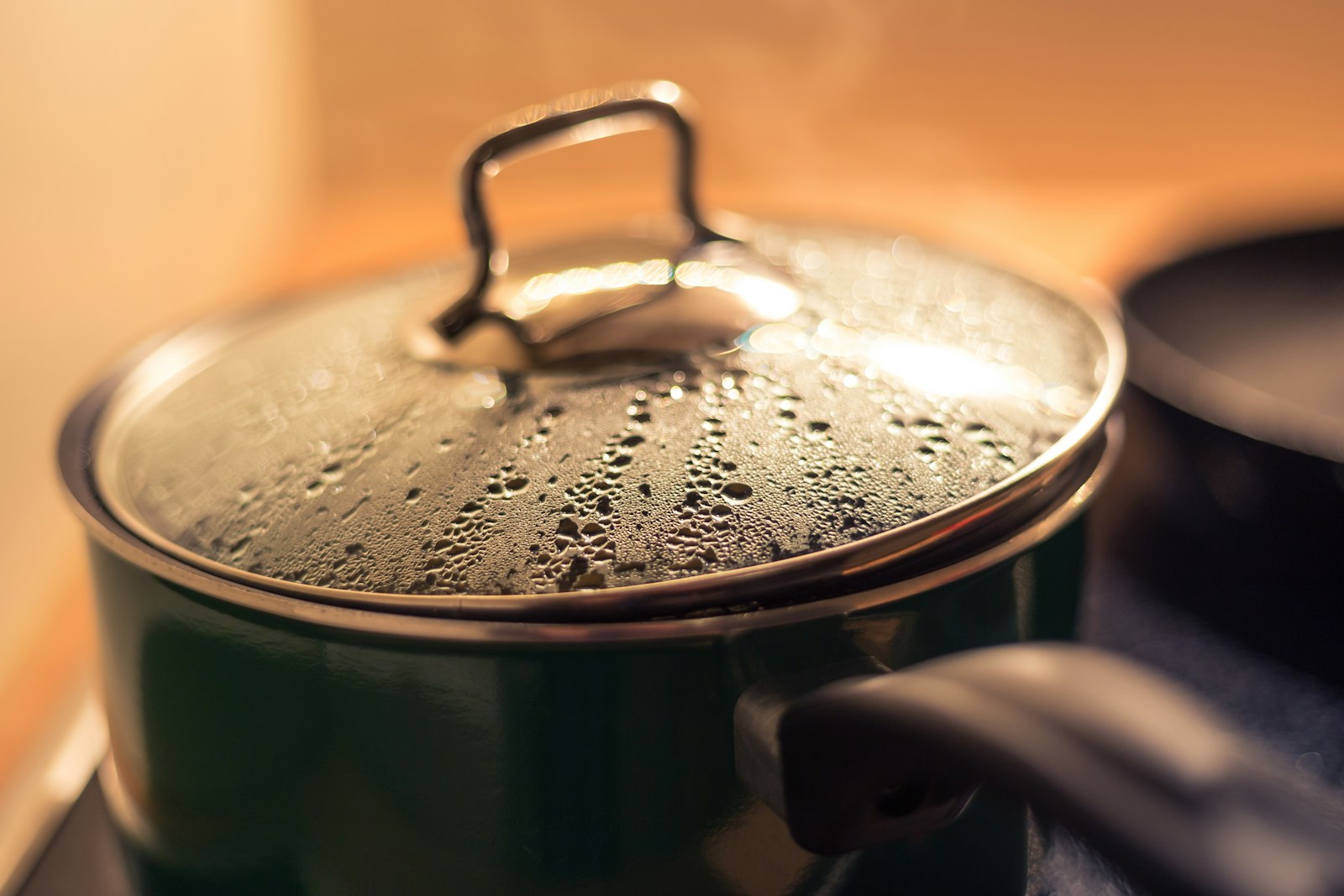 How Long Does Rendering Beef Tallow Take? Time and Temperature Guide