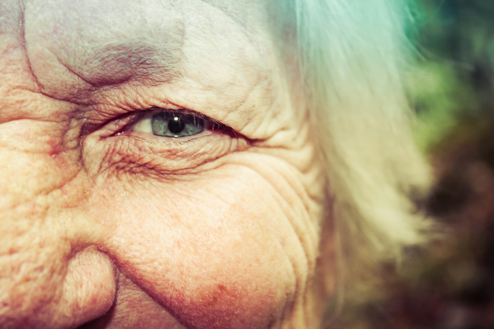 Best Beef Tallow for Wrinkles and Anti-Aging: 6 Products Tested